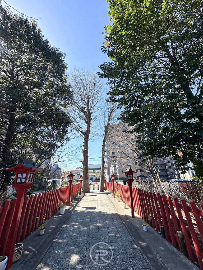 [紅欄杆參道林道]： 兩旁設有朱紅欄杆與石燈籠的清幽參道，綠樹成蔭宛如森林步道。