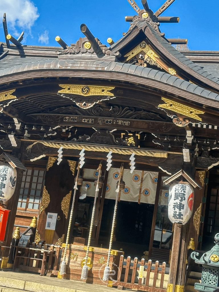 [拜殿正門特寫]： 拜殿入口處懸掛注連繩與純白燈籠，上方金黃色社紋在日光下熠熠生輝。
