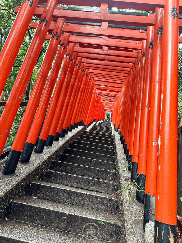 [仰望紅色鳥居長廊]： 密集排列的朱紅鳥居在石階上連成一線，東京市區少見的千本鳥居景觀。