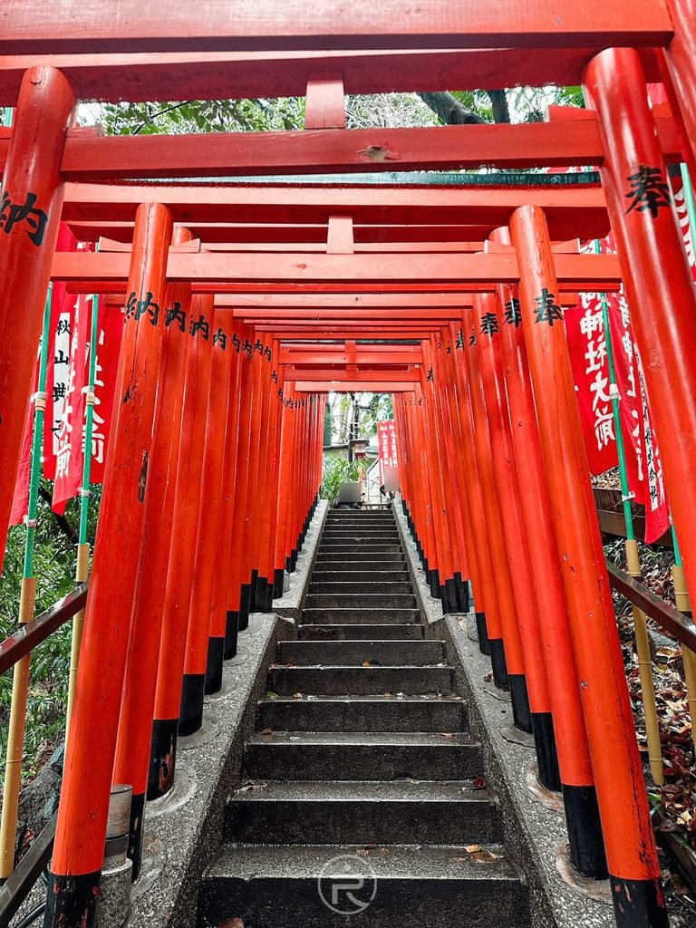  [仰拍鳥居石階隧道]： 仰望密密麻麻排列的朱紅鳥居階梯參道，宛如通往神秘神域的時光隧道。